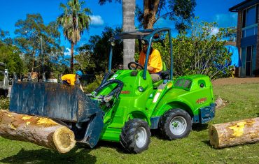 tree lopping, tree services, tree cutting, stump removal, tree trimming, dead wooding, Storm Damage Clean-ups
